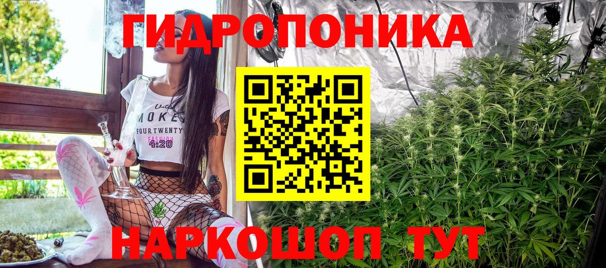 Марихуана планчик Новочебоксарск